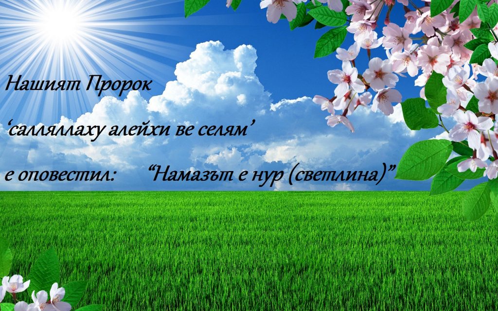 spring_field_branch_blossom_cherry_sun_grass_sky_clouds_seasons_2560x1600 1